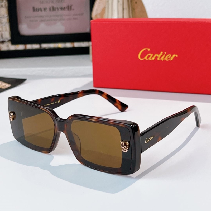 Ca*t1er